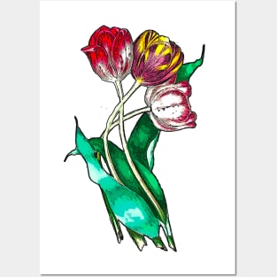 Tulips Posters and Art